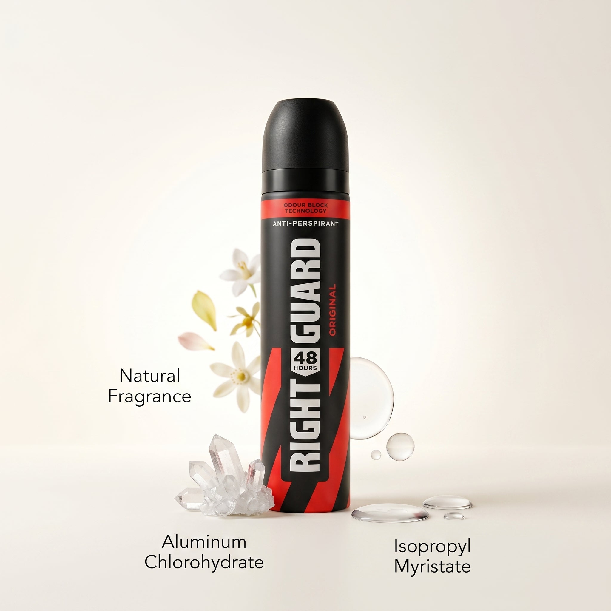 Right Guard Spray 250ml Original