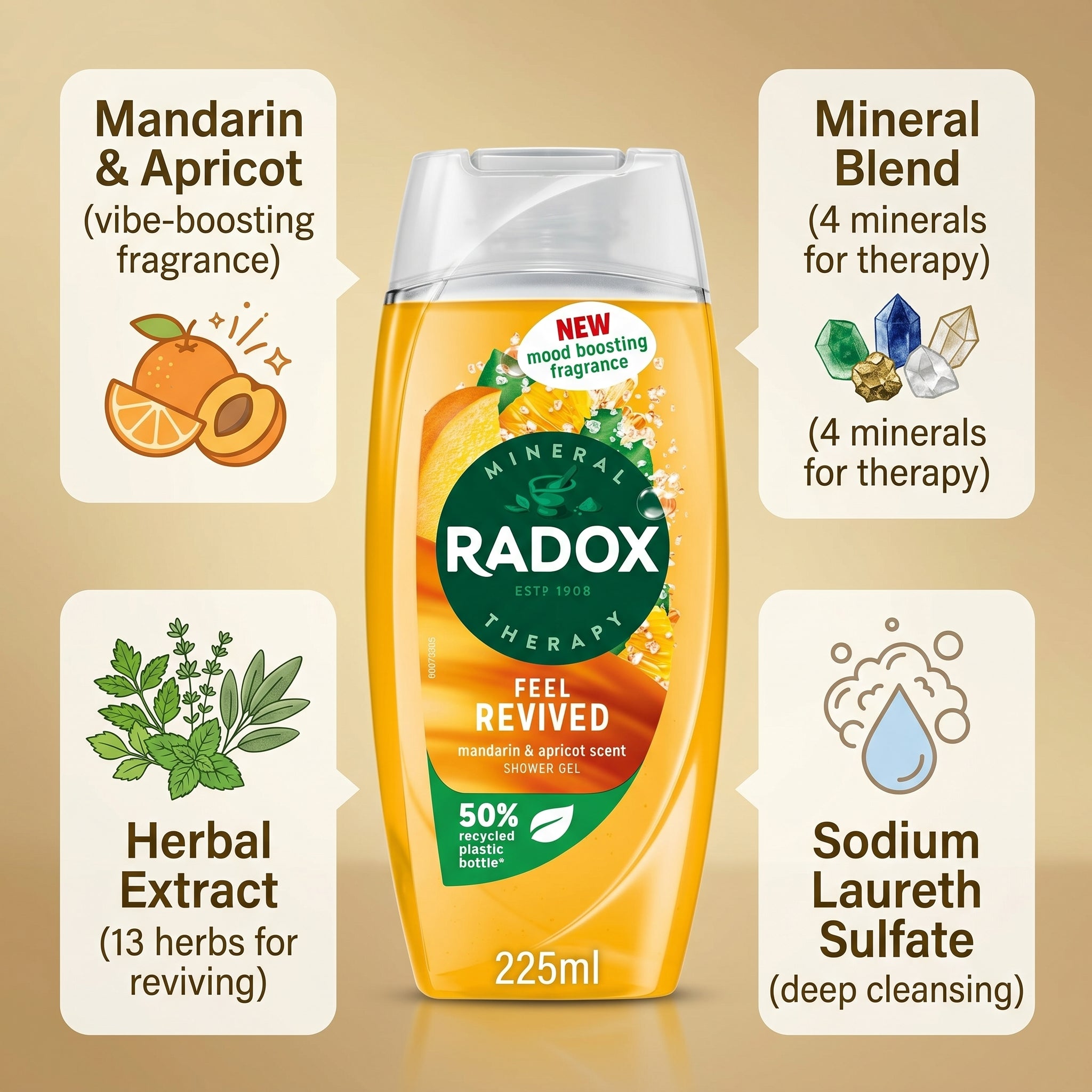 Radox Shower Gel 225ml Feel Revived