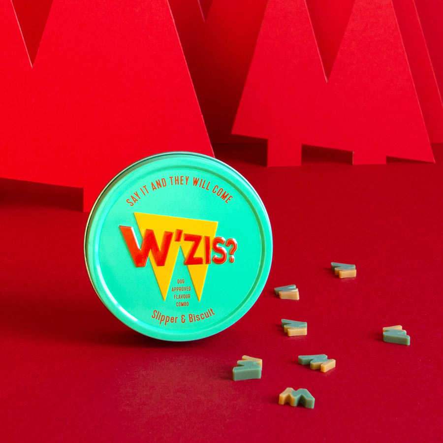 W'ZIS Dog Treat Tins NO Meat Vegetarian Low Calorie Gifts Snacks (Slipper & Biscuit Treat Tin 50g)