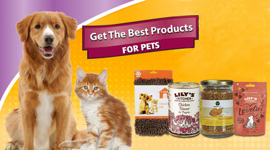 Get Nothing but the Best for your Pet