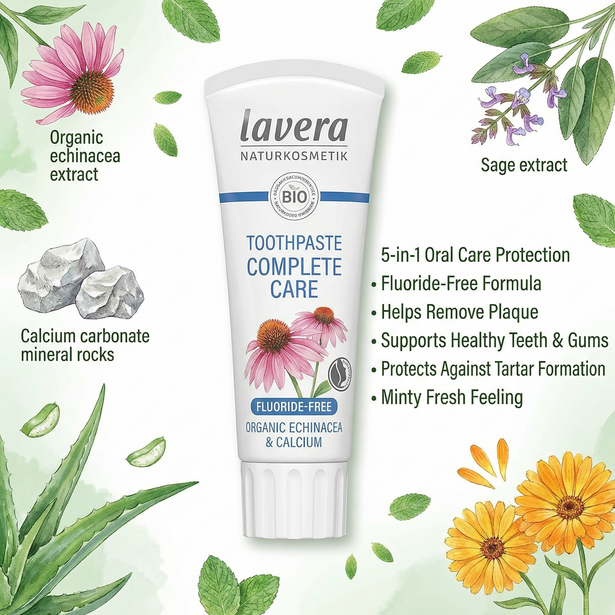 Lavera Basis Complete Care Toothpaste (with Echinacea, Fluoride Free) 75ml