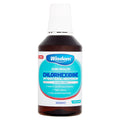 Wisdom Chlorehxdine Antibacterial Mint Mouthwash 300ml