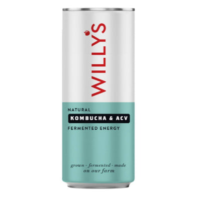Willys Natural ACV Apple & Kombucha Energy Drink 250ml x 12